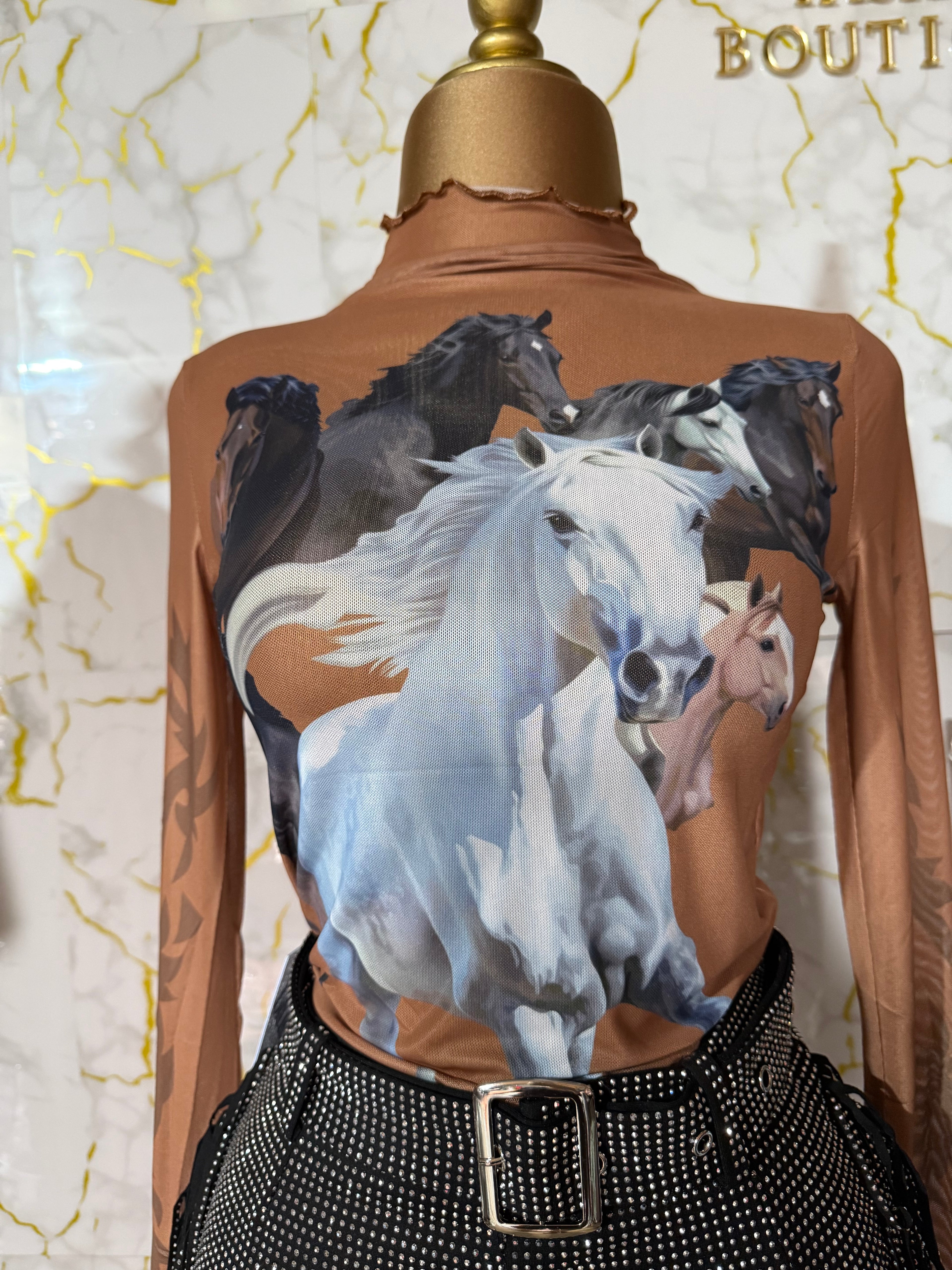 Top caballos