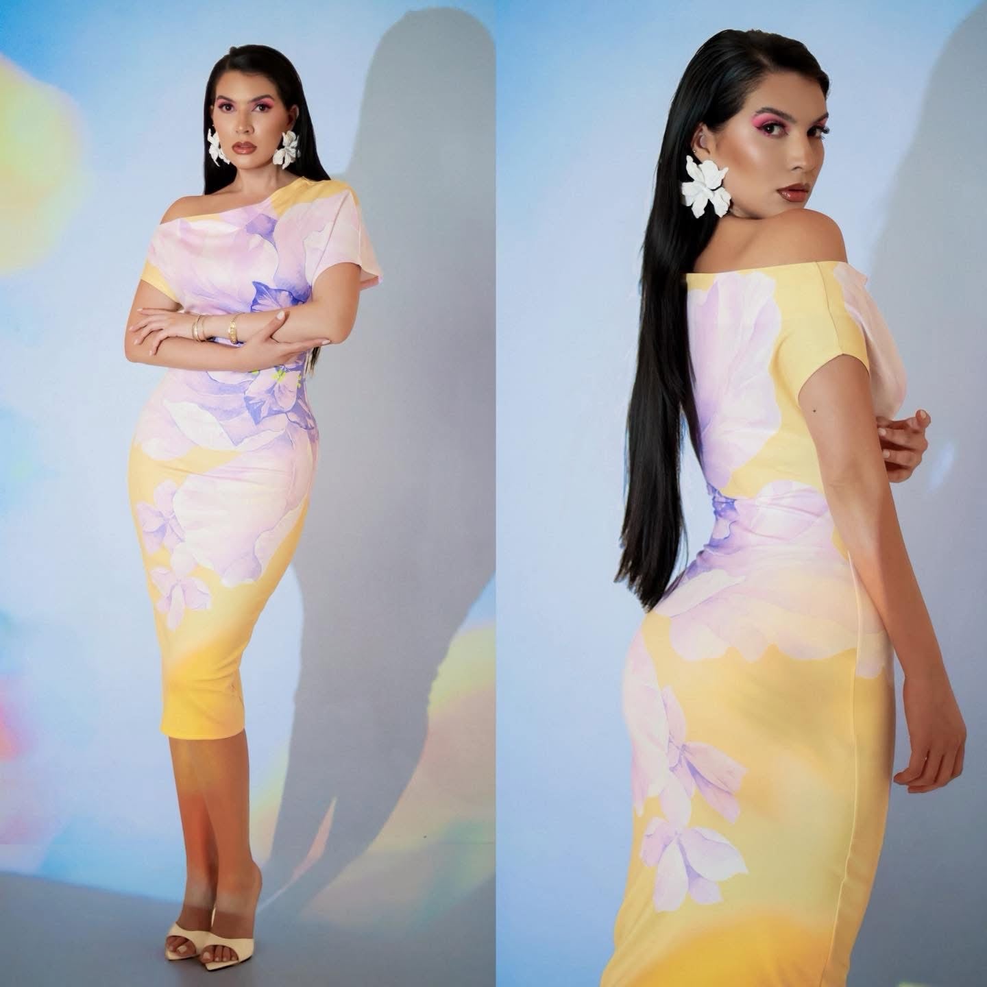 Sofi dress
